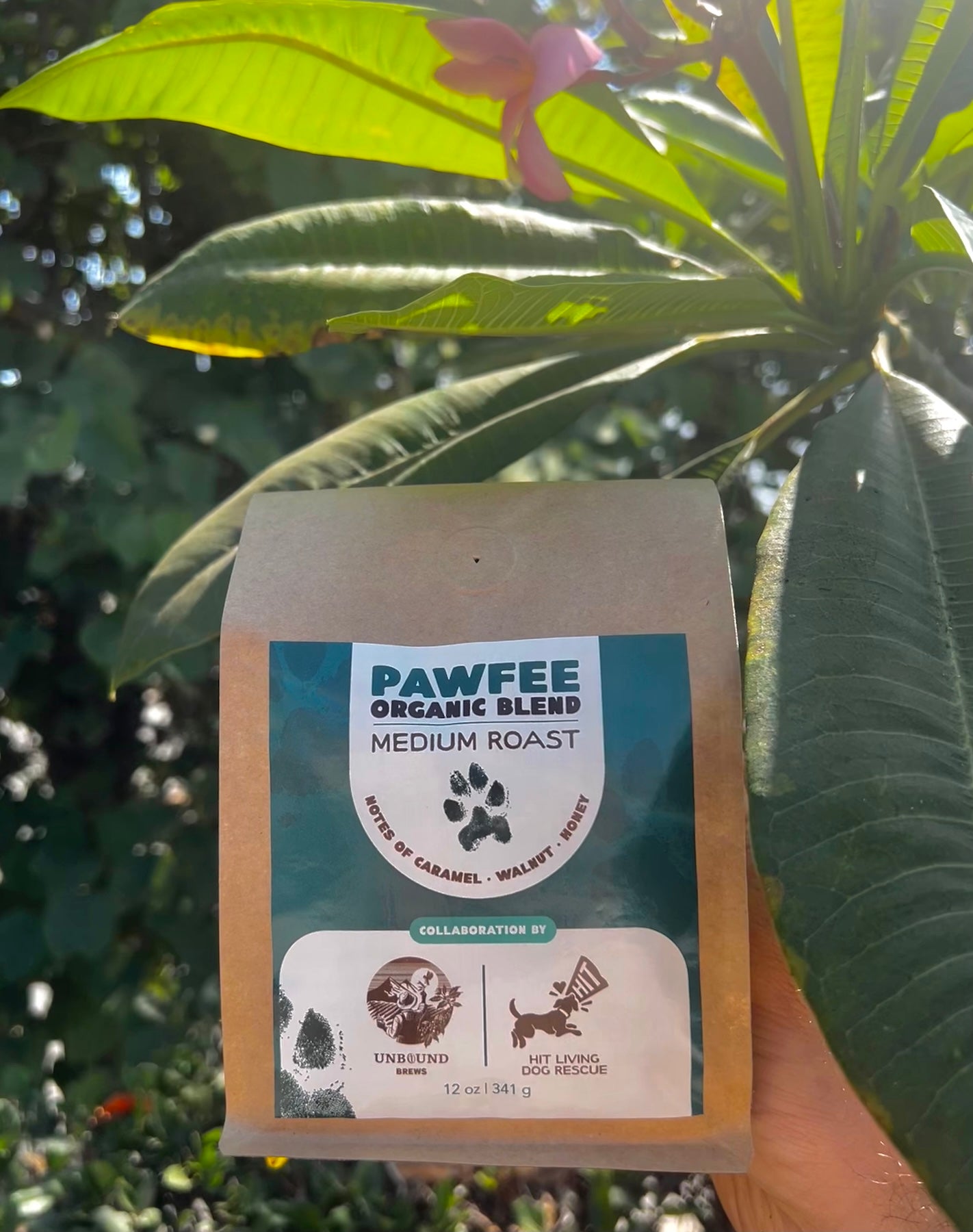 Pawfee Blend - Collaboration with HIT Living Foundation