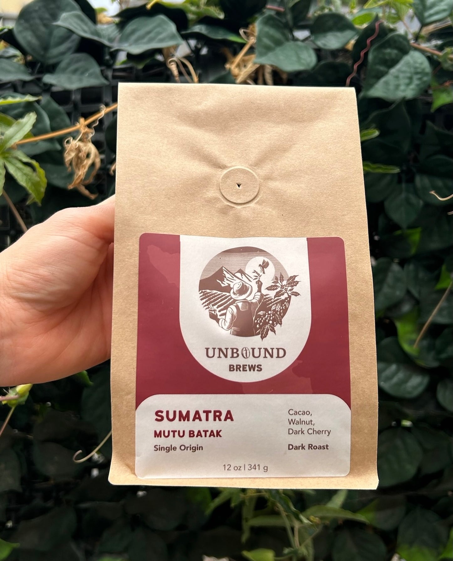 Sumatra Mutu Batak