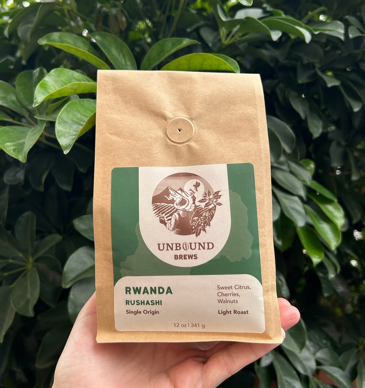 Rwanda Rushashi Organic