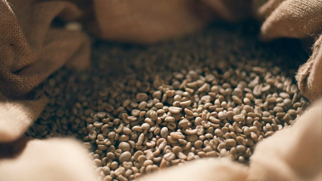 What Is Specialty Coffee?