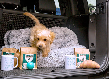 “A Few of My Favorite Things” Holiday Gift Bundle