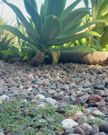 El Salvador Santa Ana